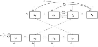 Development of a Plasmodium vivax malaria model for evaluating the effects of control strategies on the malaria burden in Democratic People’s Republic of Korea